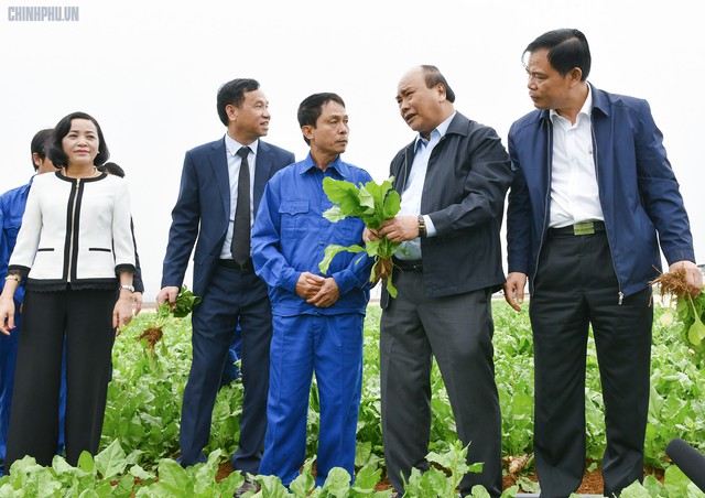Xông đất ngành nông nghiệp, Thủ tướng kỳ vọng vào đòn bẩy chiến lược của Việt Nam - Ảnh 1.